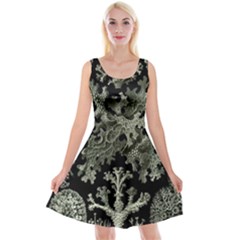 Weave Haeckel Lichenes Photobionten Reversible Velvet Sleeveless Dress