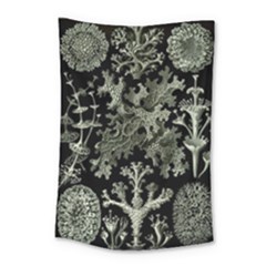 Weave Haeckel Lichenes Photobionten Small Tapestry