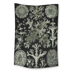 Weave Haeckel Lichenes Photobionten Large Tapestry