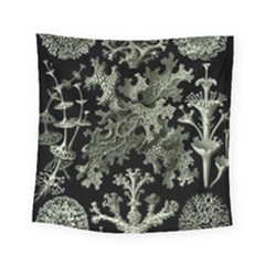 Weave Haeckel Lichenes Photobionten Square Tapestry (small)