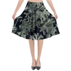 Weave Haeckel Lichenes Photobionten Flared Midi Skirt