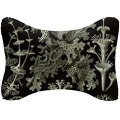 Weave Haeckel Lichenes Photobionten Seat Head Rest Cushion