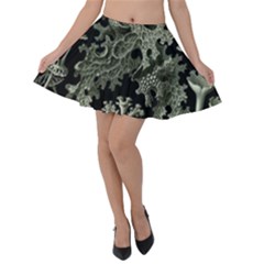 Weave Haeckel Lichenes Photobionten Velvet Skater Skirt