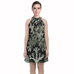 Weave Haeckel Lichenes Photobionten Velvet Halter Neckline Dress 