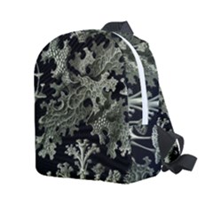 Weave Haeckel Lichenes Photobionten Kids  Age 2-4 Lightweight Preschool Backpack by Cemarart