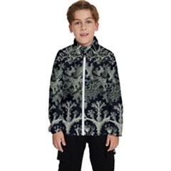 Weave Haeckel Lichenes Photobionten Kids  High Neck Windbreaker