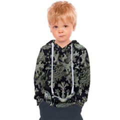 Weave Haeckel Lichenes Photobionten Kids  Overhead Hoodie