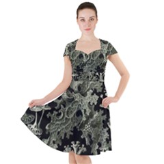 Weave Haeckel Lichenes Photobionten Cap Sleeve Midi Dress