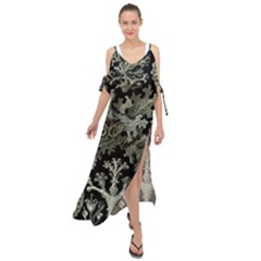 Weave Haeckel Lichenes Photobionten Maxi Chiffon Cover Up Dress