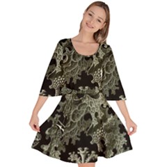 Weave Haeckel Lichenes Photobionten Velour Kimono Dress