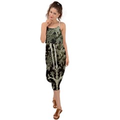 Weave Haeckel Lichenes Photobionten Waist Tie Cover Up Chiffon Dress