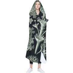 Weave Haeckel Lichenes Photobionten Wearable Blanket