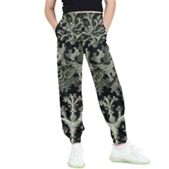 Weave Haeckel Lichenes Photobionten Kids  Joggers by Cemarart