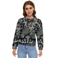 Weave Haeckel Lichenes Photobionten Women s Long Sleeve Raglan T-shirt