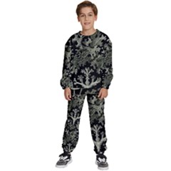 Weave Haeckel Lichenes Photobionten Kids  Sweatshirt Set