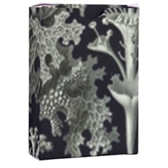 Weave Haeckel Lichenes Photobionten Playing Cards Single Design (rectangle) With Custom Box