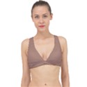 Mocha Mousse Hex Code #a47864 Classic Banded Bikini Top View1