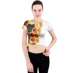 Image-2500x3000 (28) Crew Neck Crop Top