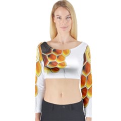 Image-2500x3000 (28) Long Sleeve Crop Top