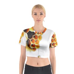 Image-2500x3000 (28) Cotton Crop Top