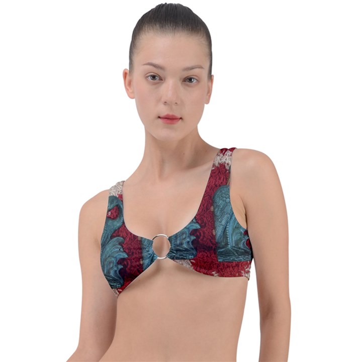 Pxl 20231123 001543615 Ring Detail Bikini Top