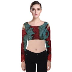 Pxl 20231123 001543615 Velvet Long Sleeve Crop Top by bestdesignintheworld