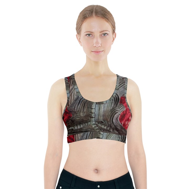 Pxl 20231123 001607591 Sports Bra With Pocket