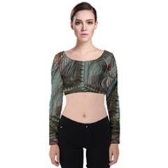 Pxl 20231123 001607591 Velvet Long Sleeve Crop Top by bestdesignintheworld