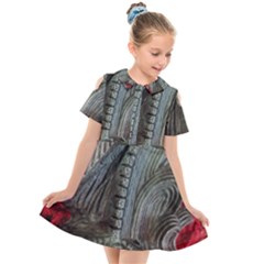 Pxl 20231123 001607591 Kids  Short Sleeve Shirt Dress by bestdesignintheworld