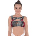 Pxl 20231123 001607591 Bandaged Up Bikini Top View1