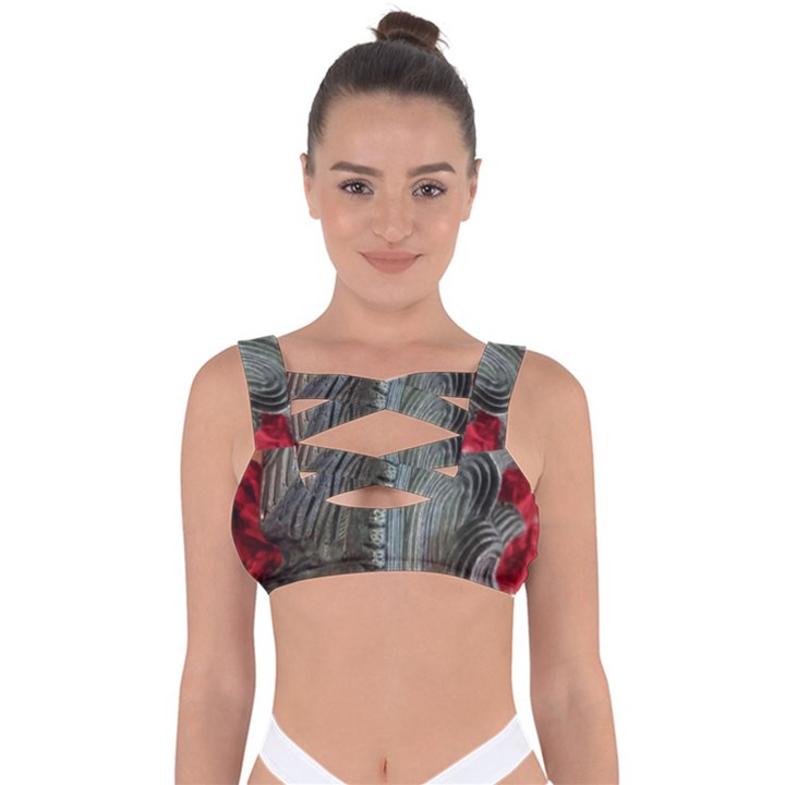 Pxl 20231123 001607591 Bandaged Up Bikini Top