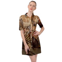 Pxl 20231129 000318816 Belted Shirt Dress