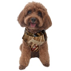 Pxl 20231129 000318816 Dog Sweater