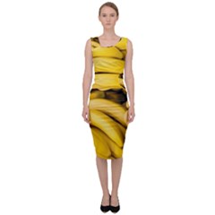 Bananas, Macro, Fruits, Ripe Bananas Sleeveless Pencil Dress