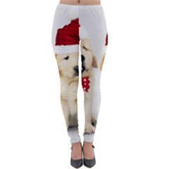 Christmas Puppies, Santa, Craciun, Christmas, Funny, Hat, Puppy, Red Lightweight Velour Leggings by kyorashop23