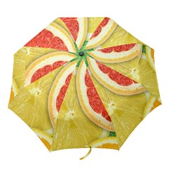 Fruit, Lemon Folding Umbrellas