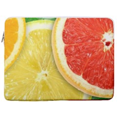 Fruit, Lemon 17  Vertical Laptop Sleeve Case With Pocket