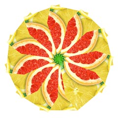 Fruit, Lemon Automatic Folding Umbrella With Case (large)