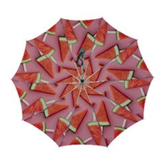 Fruits, Watermelon, Fruit Automatic Folding Umbrella With Case (large) by kyorashop23