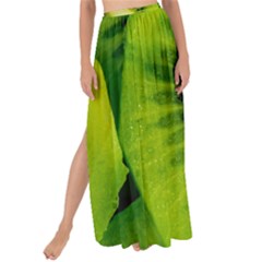 Kiwi Fruits, Close-up, Exotic Fruit Maxi Chiffon Tie-up Sarong