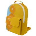 Orange, Slices, Fruit, Citrus Flap Pocket Backpack (Small) View1