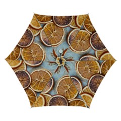 Orange, Slices, Fruits, Citrus Automatic Folding Umbrella With Case (small) by kyorashop23