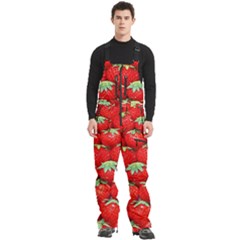 Strawberry Texture, Macro, Ripe Strawberry Men s Front Zip Ski And Snowboard Bib Pants