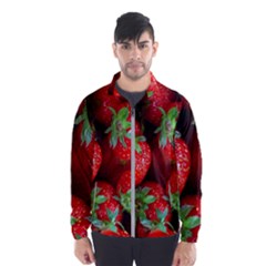 Strawberry, Berries, Fresh, Red Men s Windbreaker