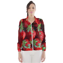 Strawberry, Berries, Fresh, Red Women s Windbreaker