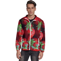 Strawberry, Berries, Fresh, Red Men s High Neck Windbreaker