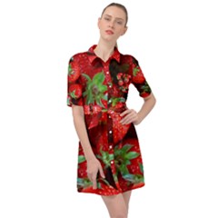 Strawberry, Berries, Fresh, Red Belted Shirt Dress by kyorashop23