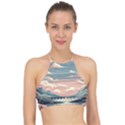 Artwork Painting Sculpture Nature Halter Bikini Top View1