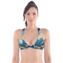 Mountains Nature Forest Landscape Plunge Bikini Top View1