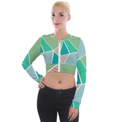 Geometric Colors  Pool Long Sleeve Cropped Velvet Jacket